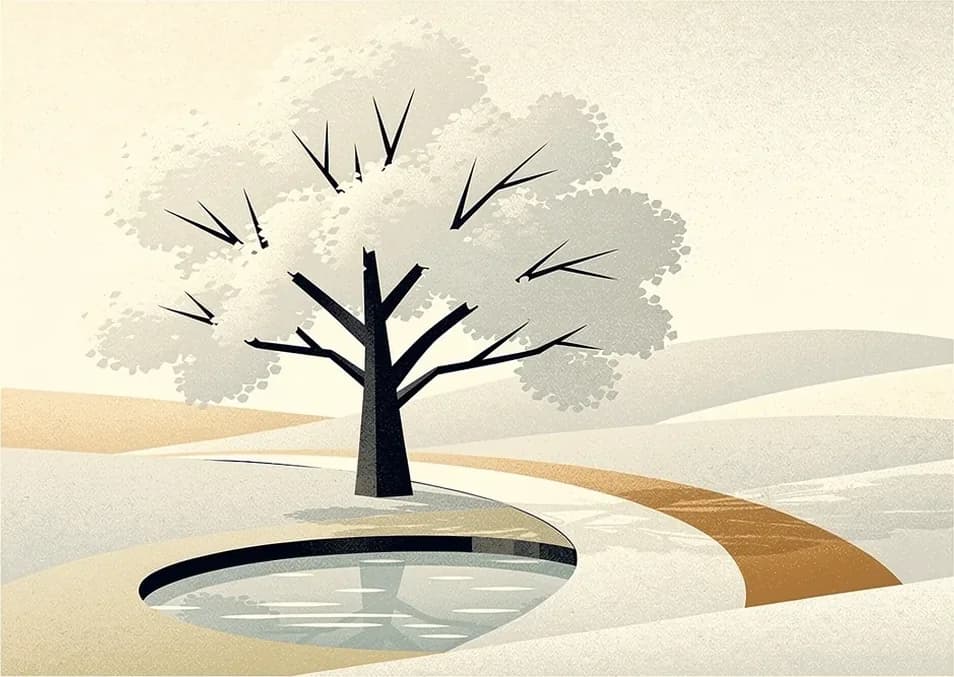 Mid-century illustration of a tree planted by a pool of water on a path